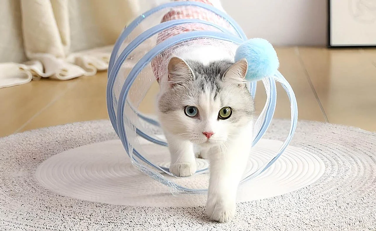 Cat Playhouse Tunnel Accessory